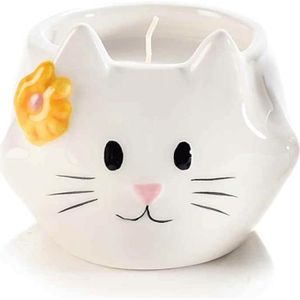 Chat Qui Bouge La Tete Cdiscount