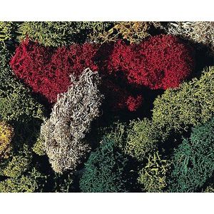 TERRAIN - NATURE Modélisme H0 - Végétation : Lichen vert - FALLER - Accessoires de décor