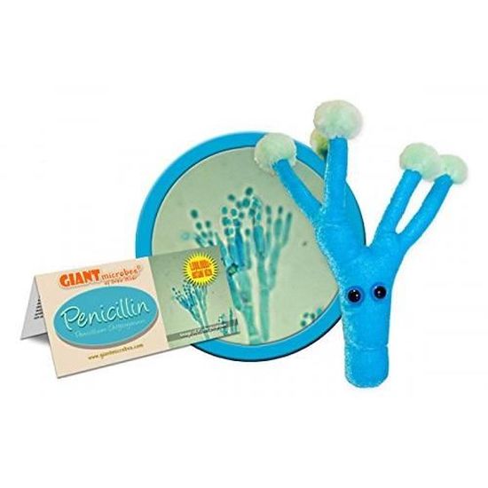 Giant Microbes Penicillin Penicillium Chrysogenum Plush Toy