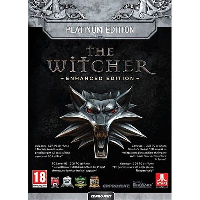 Bandai Namco Entertainment The Witcher Enhanced Platinum Edition / Jeu PC