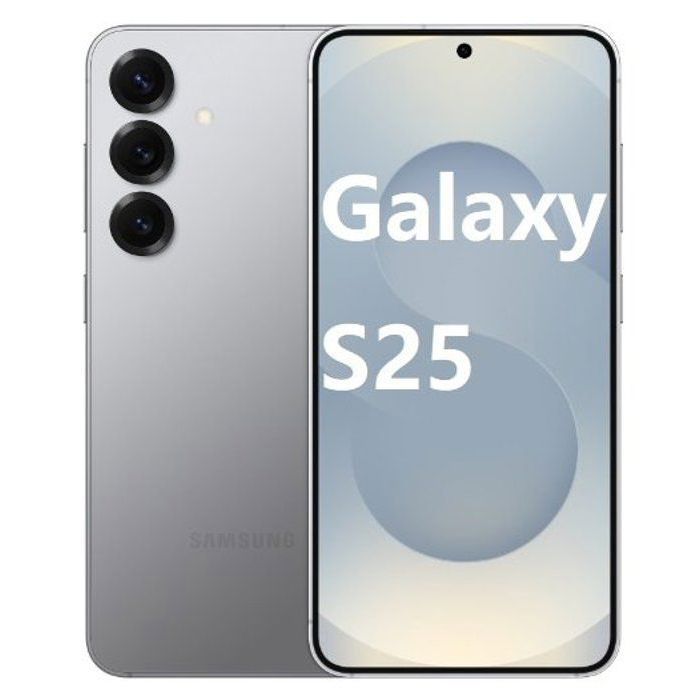 SAMSUNG Galaxy S25 Smartphone 5G 12+256Go Gris - Dual SIM - Version HK