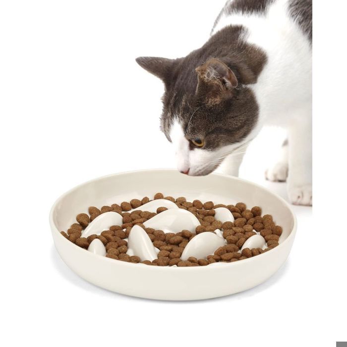 Comparer les prix de Gamelle anti-glouton pour chats et petits chiens mangeoire lente antidérapante