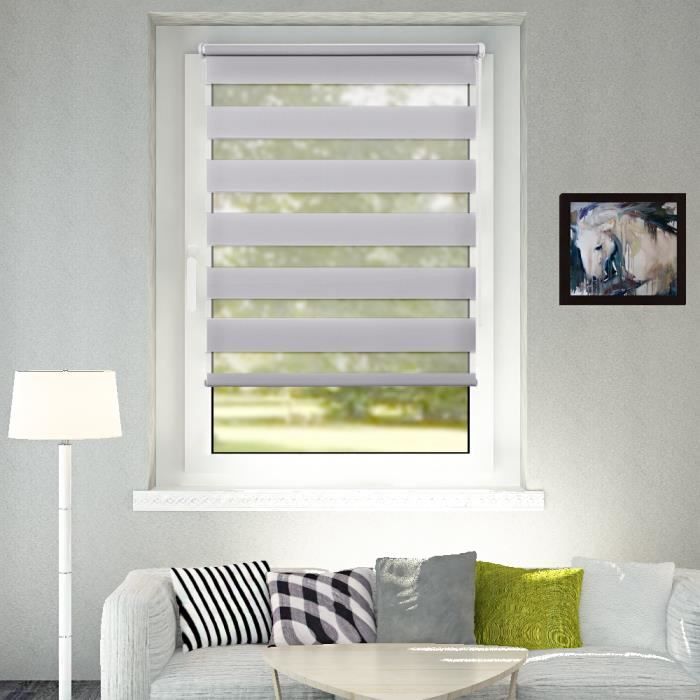 Pluschic Store Jour Nuit Sans Perçage Gris 80 X 230cm Pour Fenêtre Ou Porte