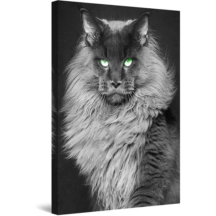 Impression Sur Toile Chat Art Encadre Imprimee Tableau Motif Moderne Decorationtendu Sur x30cm 427 Cdiscount Maison Impression Sur Toile Chat Art Encadre Imprimee Tableau Motif Moderne Decorationtendu Sur x30cm 427 Cdiscount Maison