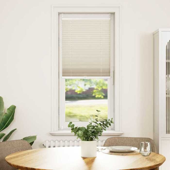 vidaXL Store Plissé 60x100 cm Pare-vue Salle de Séjour Bureau Cuisine Maison 240625