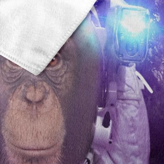 Serviette De Plage Singe Astronaute De L Espace Sur L Espace Extra Atmospherique Avec L Image D Humour De Fond De La Planete Terre Cdiscount Maison