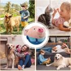 LBDC Balle Active En Peluche, Active Moving Pet Plush Toy Jouet De Balle Rebondissante Pour Chiens Balle Interactive Pour Chien, [n107]