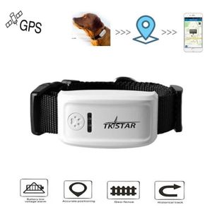 Collier Gps Pour Chat Cdiscount