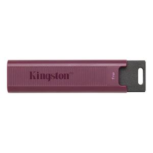 CLÉ USB Clé USB Kingston DTMAXA-1TB