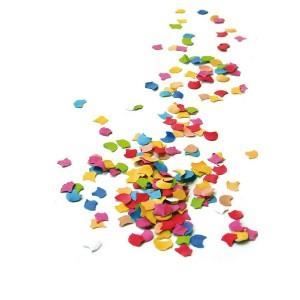 Sac 1kg confettis multicolore rectangulaire biodégradable