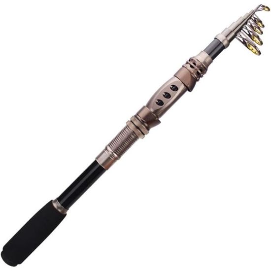 Canne à pêche de voyage mini poche portable en acier inoxydable canne à pêche pour appâts carpe brochet pêche en mer