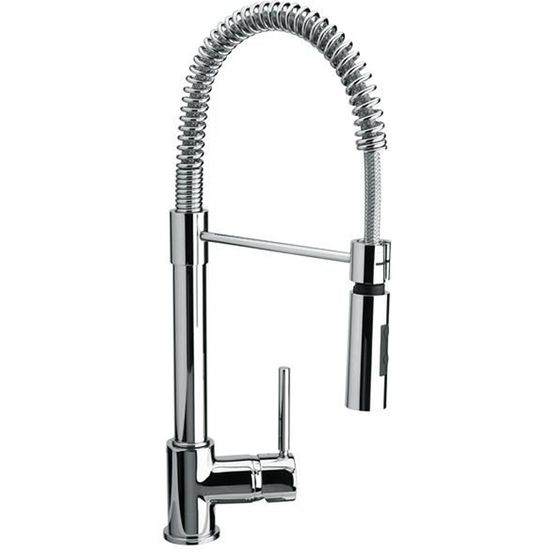 T/ête de douche compatible avec Franke Robinet Flexus S