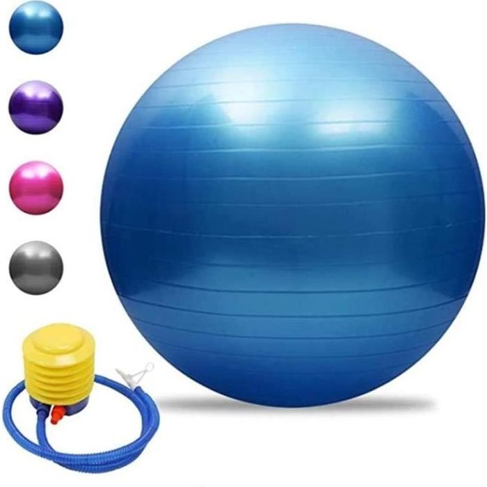 Ballon de Gym 55cm - 65cm - 75cm - 85cm Ballon Suisse Extra épais avec Pompe Ballon d'exercice de Fitness pour Yoga Pilates 1733