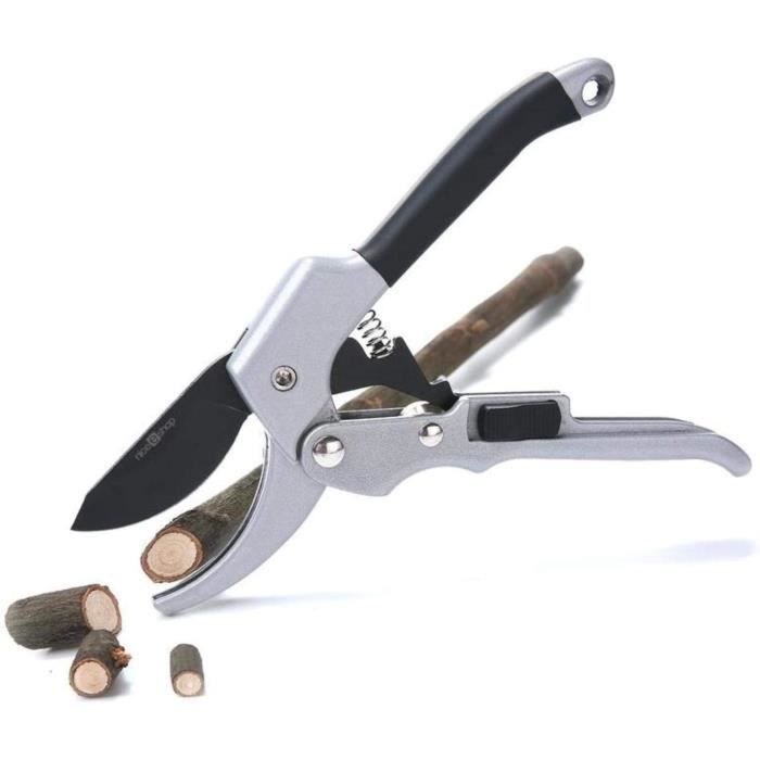 CISEAUX DE JARDIN 20CM Outil de verger agrave cliquet Coupe de Plantes seacutecateur Enclume Branche Cisaillement Coupe seacute382