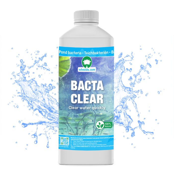 Bacta Clear Bactéries de bassin 20 000 L - Pour une eau de bassin limpide
