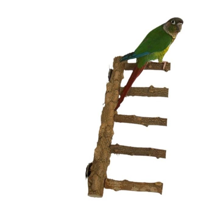 Échelle pour oiseaux avec perchoir support pour perroquet en bois naturel jouet d’escalade pour hamsters échelle de cage pour p