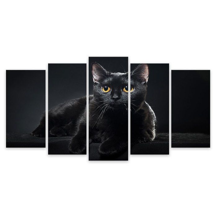 Hxa Deco Impression Sur Toile Decoration Murale Tableau Contemporain Tableau 5 Parties Animaux Petit Chat Noir Aux Yeux Jaunes Cdiscount Maison Hxa Deco Impression Sur Toile Decoration Murale Tableau Contemporain Tableau 5 Parties Animaux Petit Chat Noir Aux Yeux Jaunes Cdiscount Maison