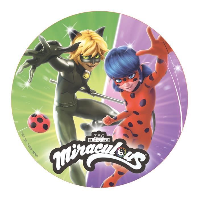 DISQUE AZYME 20 CM MIRACULOUS LADYBUG DECOR GATEAU ANNIVERSAIRE - Cdiscount  Maison