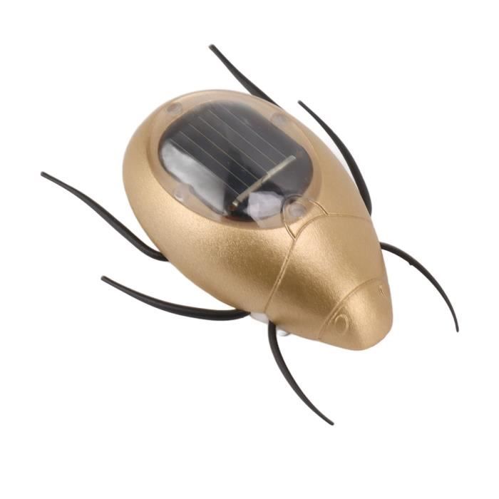 Jouet Solaire Insecte – Cafard Ou Sauterelle – Mini 4 Cm – Éducatif Et Sans Batterie – Cadeau Farceur