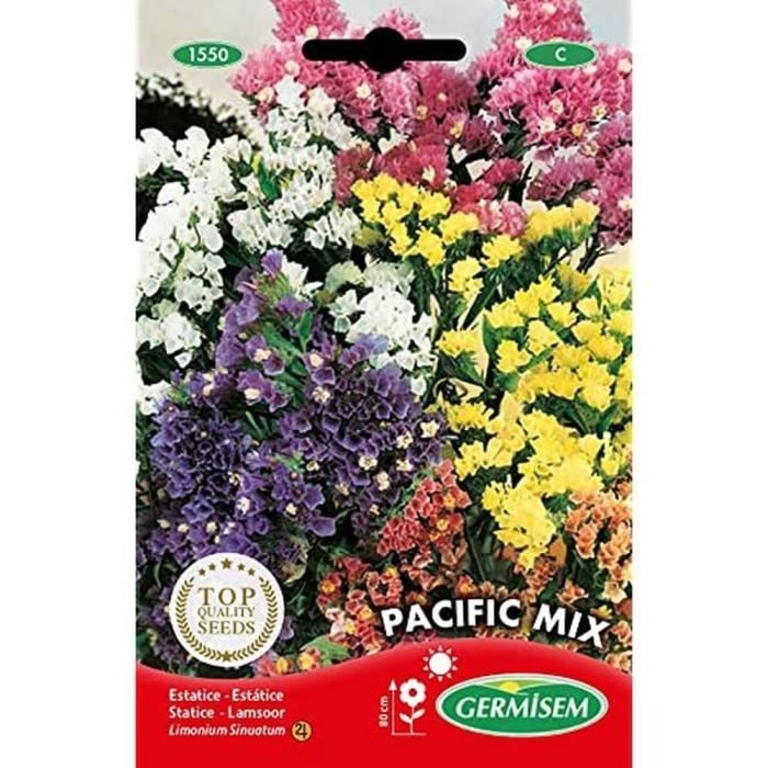 Germisem Graines De Pois Rondo XXL Multicolore - 100g - Facile à Cultiver, Résistant Au Froid