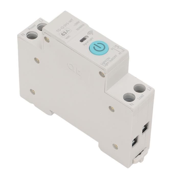 Disjoncteur Intelligent WiFi DC 63A 12-80V - Contrôle à Distance Pour Maison Intelligente Et Applications Solaires