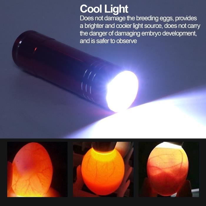 Comparer les prix de Testeur doeufs - Cool Light - Lampe Incubateur - LED - Haute luminosité - Sécuritaire pour embryons