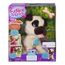 filo mon chien bavard prix