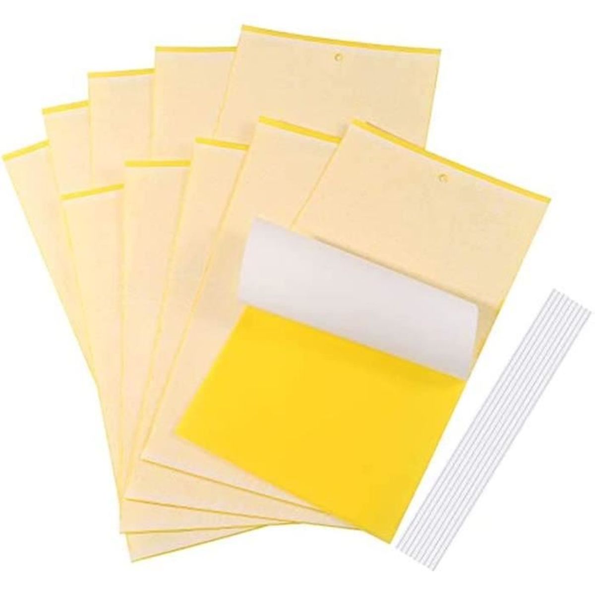 10 Pièges à Insectes, Papier Collant Double Face, Insectes Catcher ...