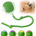 PRUMYA Balle roulante interactive pour chien, jouet pour chien à bille roulante amélioré , jouets interactifs pour chat, jouet automatique