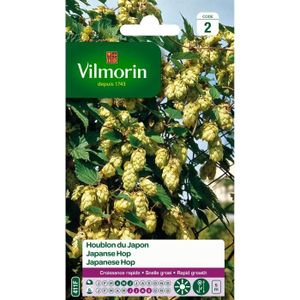 GRAINE - SEMENCE Plante vivace - VILMORIN - Houblon du Japon - Feui
