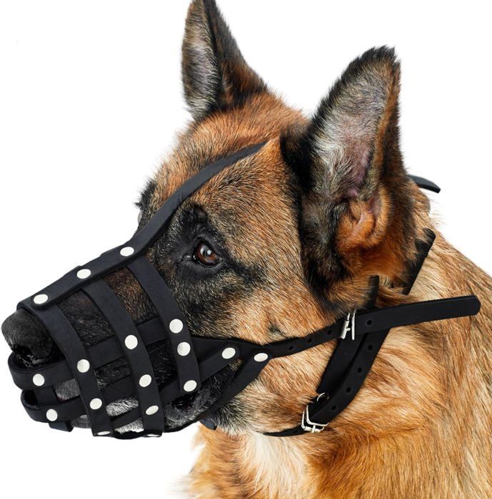 Panier En Cuir Pour Chien
