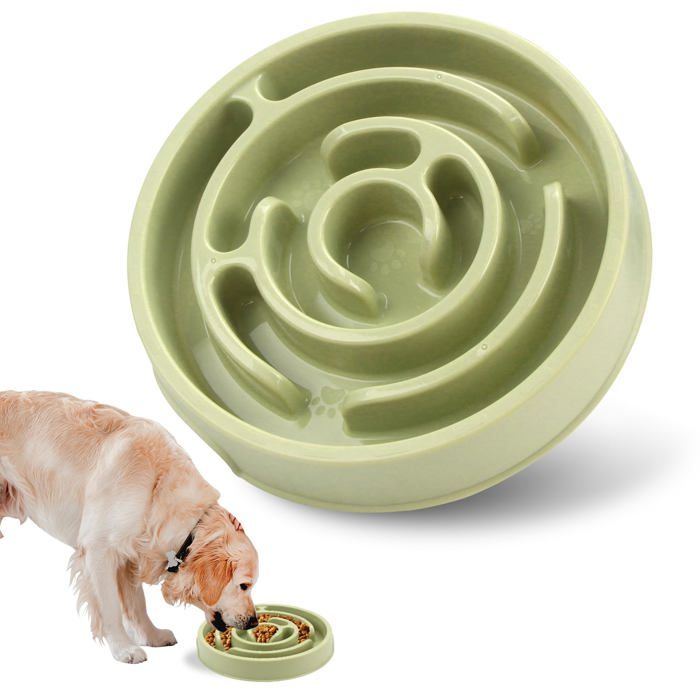 Gamelle Anti-Glouton - HANDEIU - Moyen - Plastique - Rond - Vert