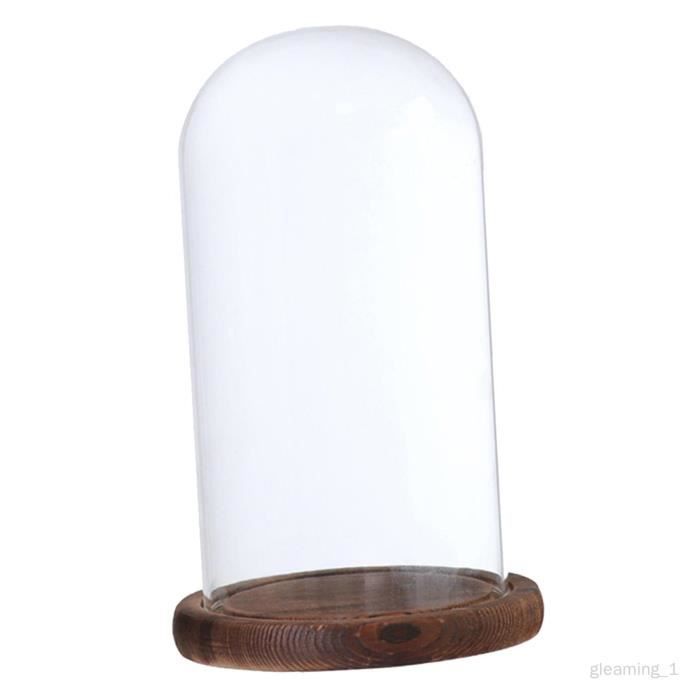 Verre Cloche Micro Paysage DIY Holder Vase Succulent Terrarium avec