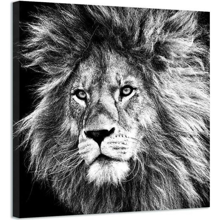 Tableau Toile Lion - Portrait - Zwart - 90x90 cm - Décoration murale