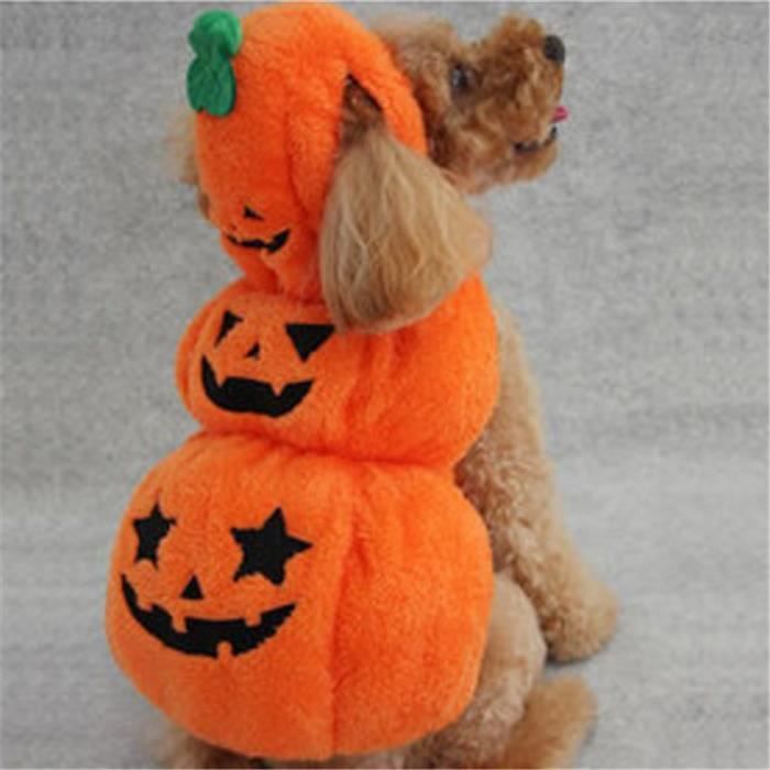 Vetement Halloween Chien Chat Jouet Pour Chien Deguisement Forme De Citrouilles Cdiscount