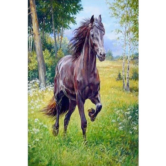 Mandun Art Cheval Peinture Numero Adulte, Cheval Coloriage Par Numero