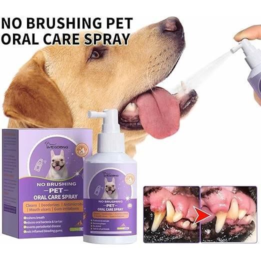 Désodorisant d'haleine pour chien, spray buccal pour chiens, élimine la  plaque dentaire et le goudron, les gencives et les dents - Cdiscount