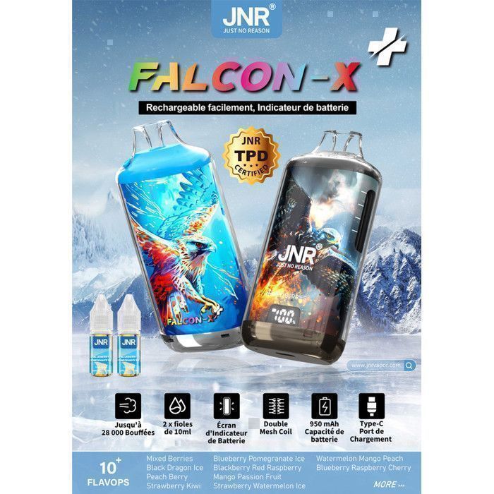 JNR Falcon X 28000 Puffs Rechargeable avec 2x10ml E-liquide 20mg Batterie  950mAh - Blueberry Raspberry Cherry - Cdiscount Au quotidien
