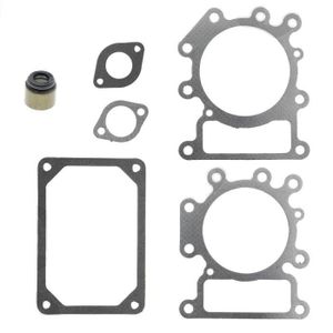 Joint De Culasse Pour Moteur Briggs & Stratton - Lot De 2, Graphite - Compatible Modèle 093J02