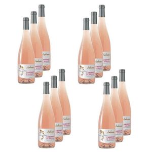 VIN ROSE Les Caves de la Loire - Lot 12x Vin rosé Ambroisie Cabernet d'Anjou AOC - Loire - Bouteille 750ml
