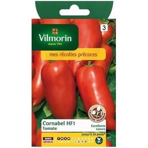 GRAINE - SEMENCE Vilmorin - Sachet graines Tomate Cornabel HF183
