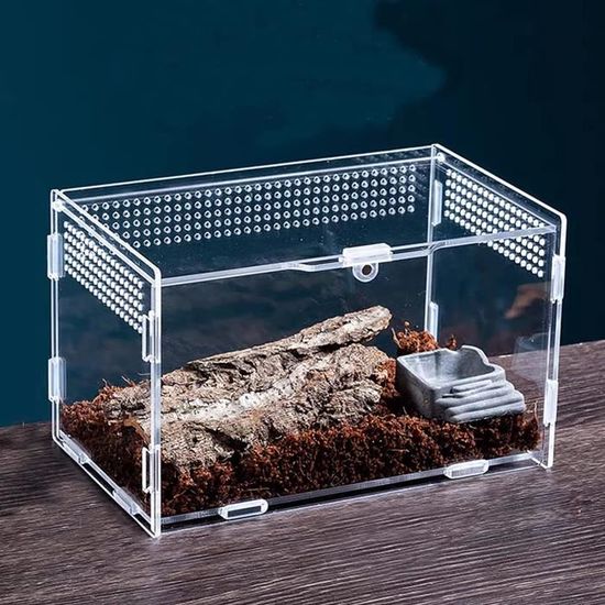 Terrarium Reptiles Acrylique Transparent 25×15×15 Cm – Pour Escargots, Geckos Et Insectes - Terrarium Shop