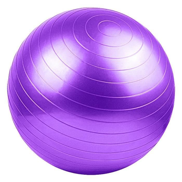 GOBRO,Swiss ball - Ballon de gym /Violet foncé / 75cm/Biens professionnels