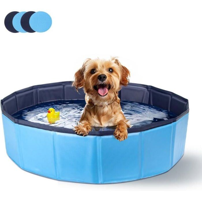 Piscine pour Chien Rigide Bassin Baignoire Pliable pour Petit et Grande Chien Chat 80 20cm S Bleu