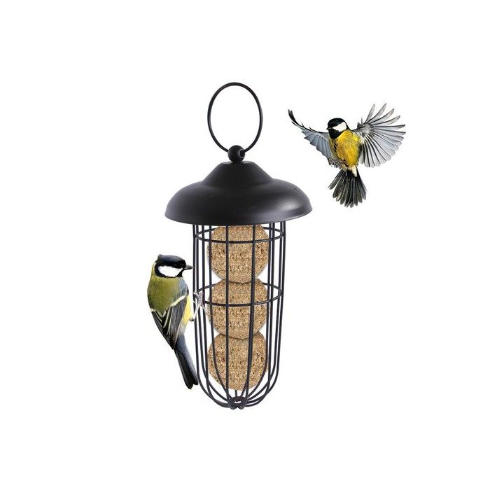 Mangeoire écologique pour oiseaux - PVC durable - Couvercle en fer écologique - Transparente pour observation facile