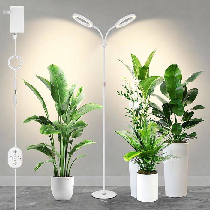 Grande lampe horticole 24 V pour plantes du2019intérieur spectre complet renforcé 660 nm LED LUMILEDS 2×16 Blanc 30w