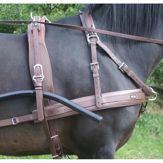 Equestrian Universe Harnais de conduite élégant en cuir pour chariot à