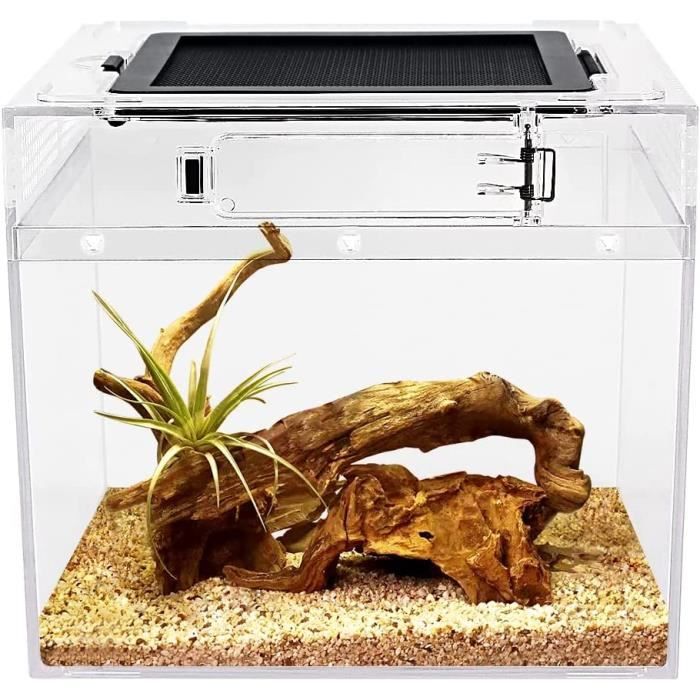 Terrarium Growth Vivarium Reptiles 20.3X20.3X20.3 Porte Coulissante