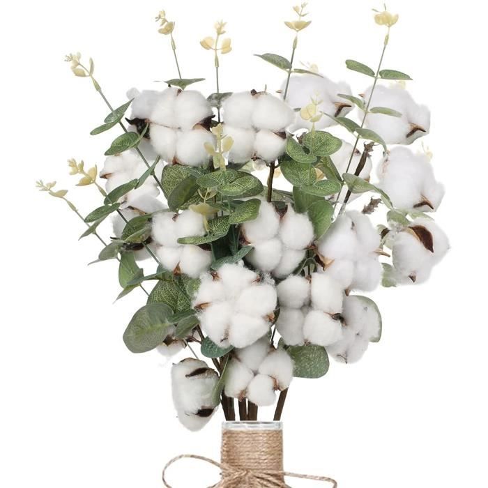 Fleurs Artificielles 5pcs Coton Naturel Fleurs Séchées avec Des Feuilles  d'Eucalyptus Fausse Plante 5 Branches de Coton Flexib[8] - Cdiscount Maison