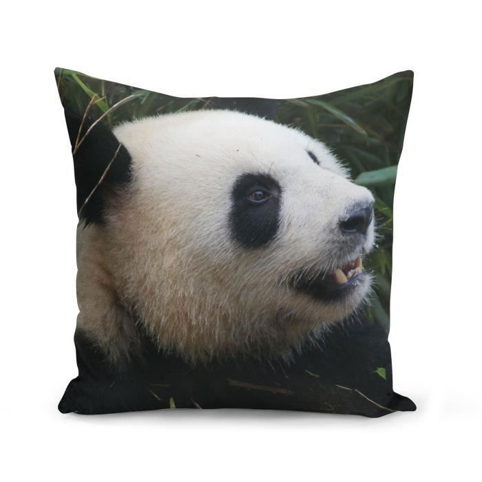 Housse De Coussin 40x40 Cm Gros Plan De Bebe Panda Vie Sauvage Bebe Animaux Cdiscount Maison Housse De Coussin 40x40 Cm Gros Plan De Bebe Panda Vie Sauvage Bebe Animaux Cdiscount Maison
